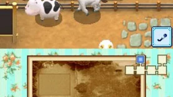 Harvest Moon DS: Grand Bazaar — Screenshoty