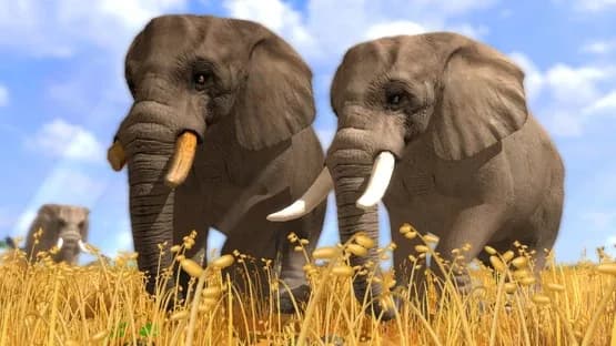 Wildlife Park 3 — Screenshots