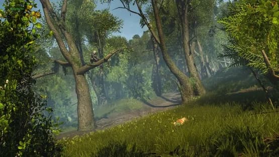 Assassin's Creed: Rogue Remastered — Screenshoty