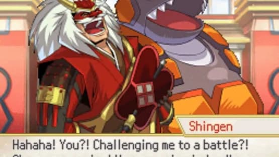 Pokémon Conquest — Screenshots