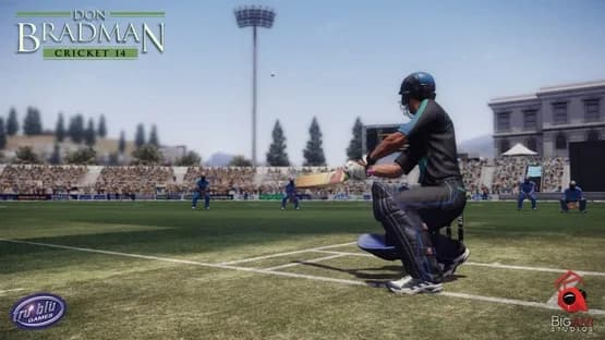 Don Bradman Cricket 14 — Screenshoty