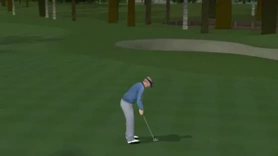 ProStroke Golf: World Tour 2007 — Screenshoty