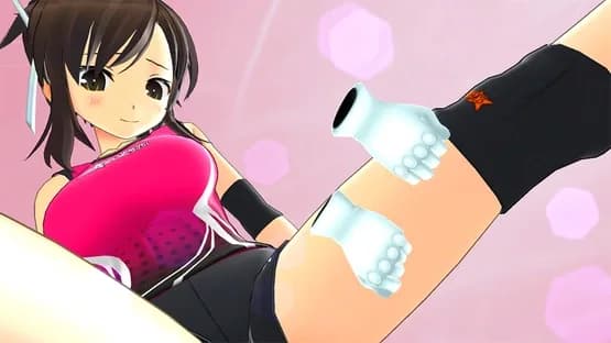 Senran Kagura Reflexions — Screenshoty