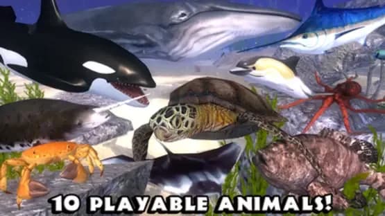 Ultimate Ocean Simulator — Screenshoty