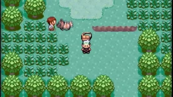 Pokémon Emerald Version — Screenshoty