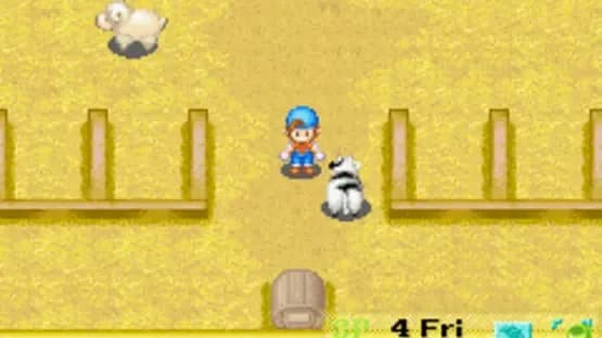 Harvest Moon: Friends of Mineral Town — Screenshoty