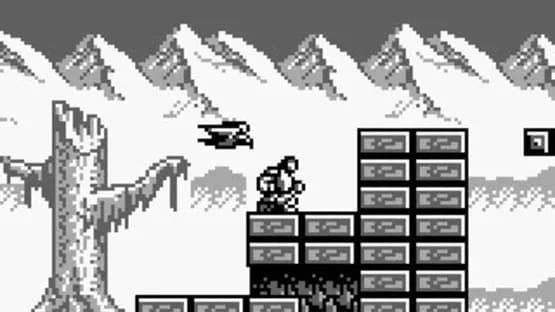Castlevania: The Adventure — Screenshoty