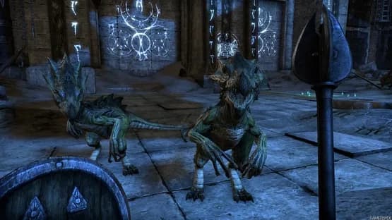 The Elder Scrolls Online — Screenshoty