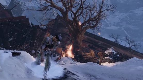 Uncharted 2: Among Thieves — Screenshoty