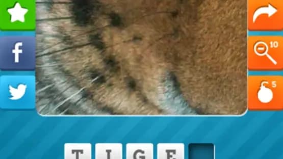 Close Up Pics - Fun Word Games — Screenshoty