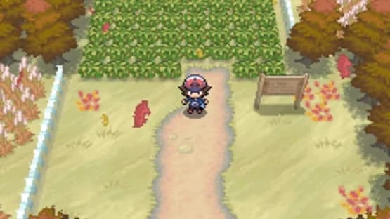 Pokémon Black Version — Screenshoty