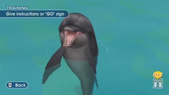 Endless Ocean — Screenshoty