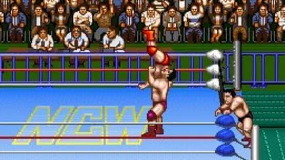 Natsume Championship Wrestling — Screenshoty