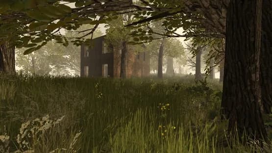 PostCollapse — Screenshoty