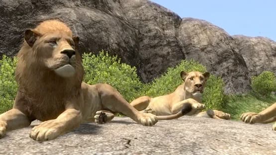 Afrika — Screenshoty