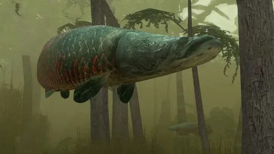 Endless Ocean: Blue World — Screenshots
