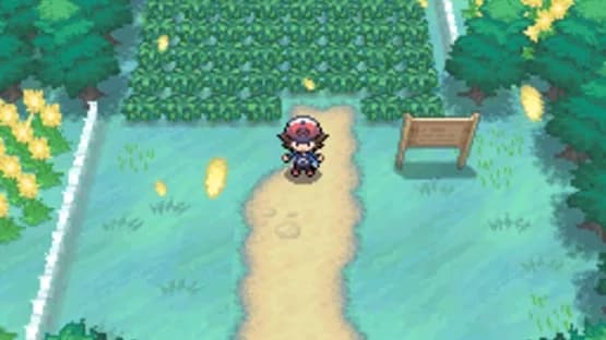 Pokémon Black Version — Screenshoty