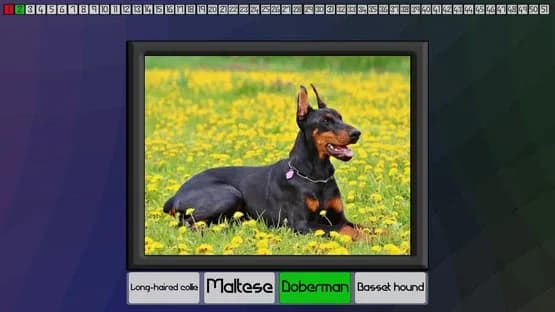 Test your knowledge: Dogs — Screenshoty