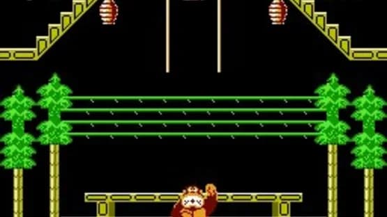 Donkey Kong 3 — Screenshoty