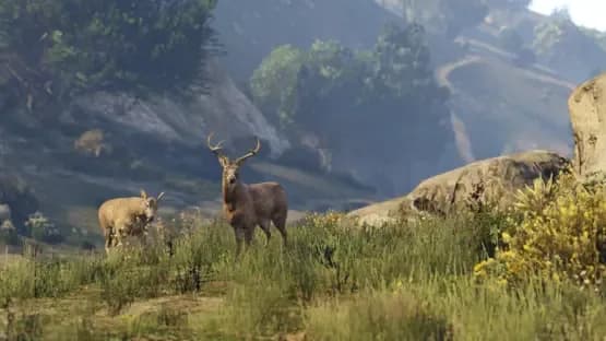 Grand Theft Auto V: Premium Online Edition & Whale Shark Card Bundle — Screenshoty