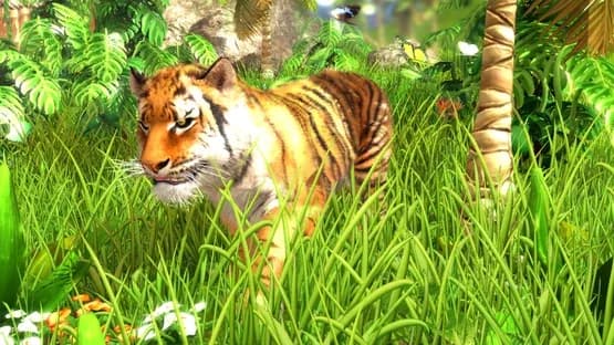 Wildlife Park 3 — Screenshots