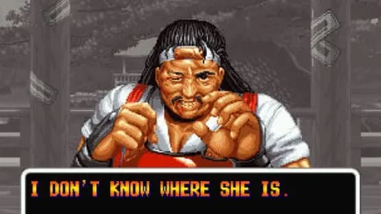 Art of Fighting — Screenshoty