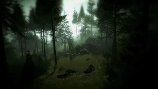 Slender: The Arrival — Screenshoty