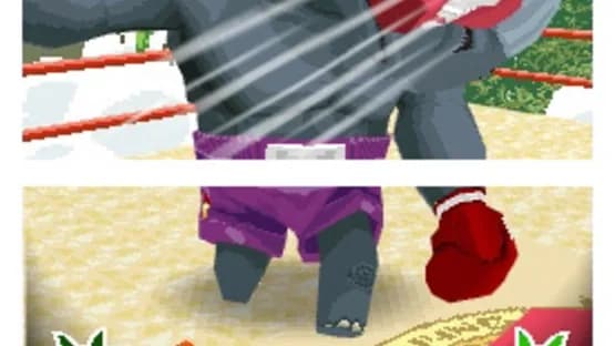 Animal Boxing — Screenshoty