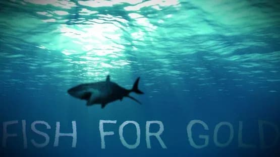 Fish for gold — Screenshots
