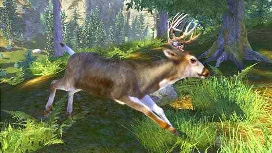 Cabela's Trophy Bucks — Screenshoty
