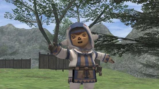 Final Fantasy XI Online — Screenshoty