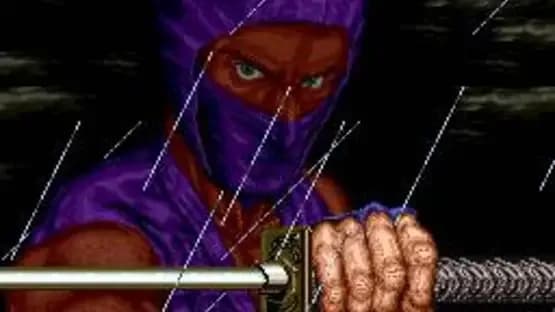 Ninja Gaiden — Screenshoty