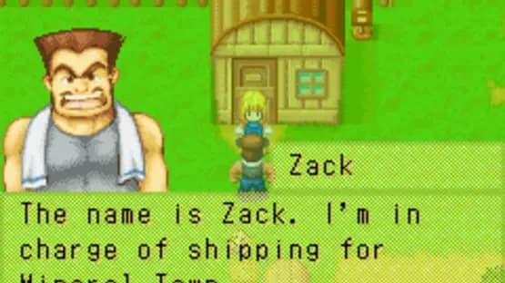 Harvest Moon: More Friends of Mineral Town — Screenshoty