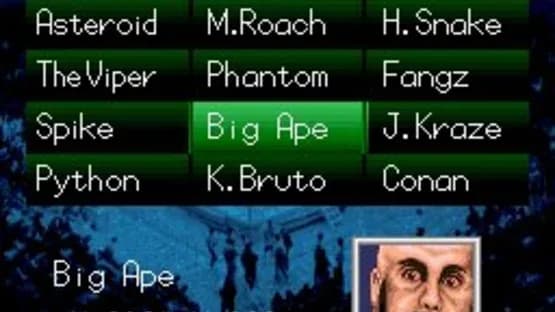 Natsume Championship Wrestling — Screenshoty