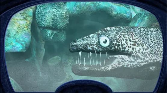 Nancy Drew: The Creature of Kapu Cave — Screenshots