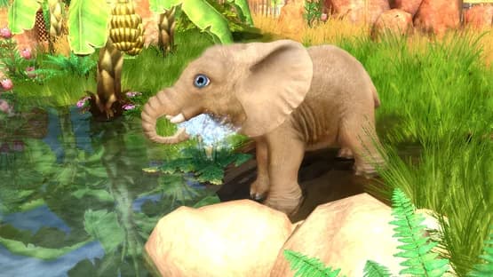 Wildlife Camp — Screenshots