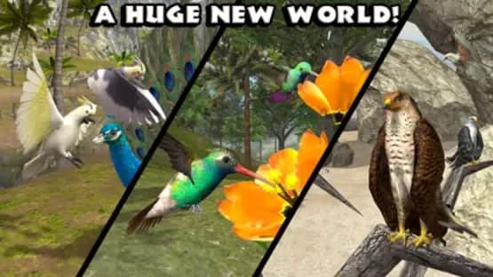 Ultimate Bird Simulator — Screenshots