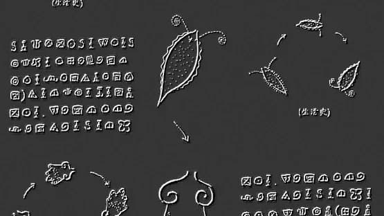 Plankton — Screenshoty