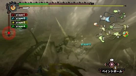 Monster Hunter Tri — Screenshoty