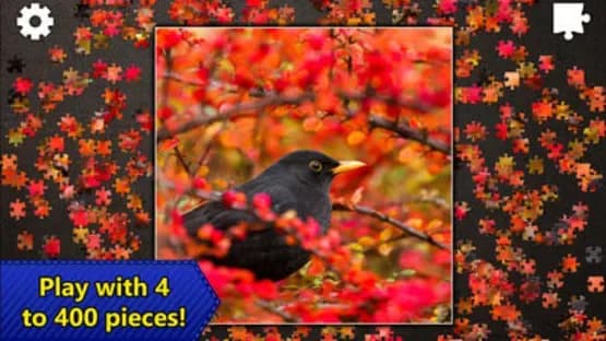 Jigsaw Puzzles Epic — Screenshots