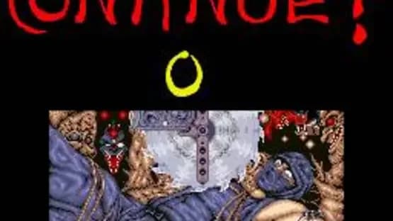 Ninja Gaiden — Screenshoty