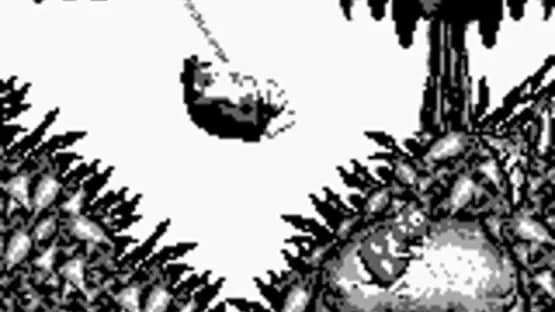 Donkey Kong Land — Screenshoty