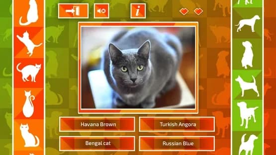 JQ: dogs & cats — Screenshoty