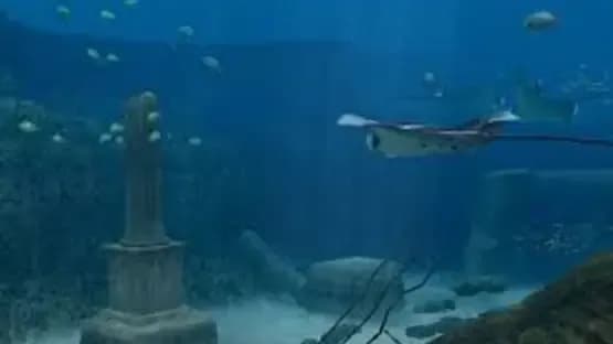Endless Ocean — Screenshoty