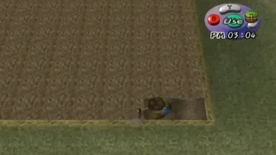 Harvest Moon: A Wonderful Life — Screenshoty