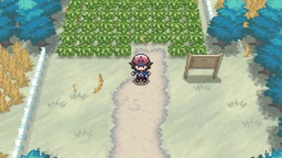 Pokémon Black Version — Screenshoty