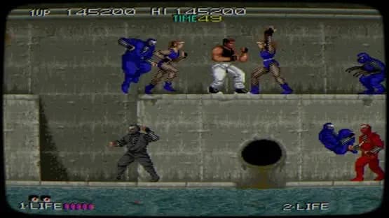 Johnny Turbo's Arcade: Bad Dudes — Screenshots
