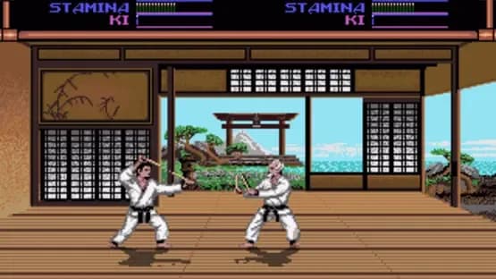 Budokan: The Martial Spirit — Screenshoty