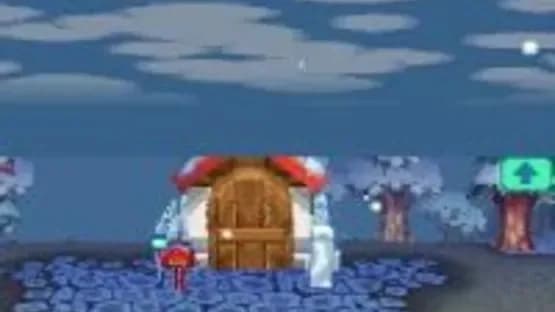 Animal Crossing: Wild World — Screenshoty