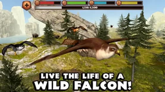 Falcon Simulator — Screenshots
